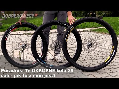 Co sądzisz Członkowie mały Samouczek wideo na powiększenie penisa