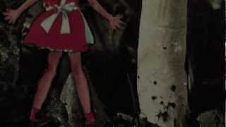 Alec K. Redfearn and the Eyesores - In the Morning (Official Video)