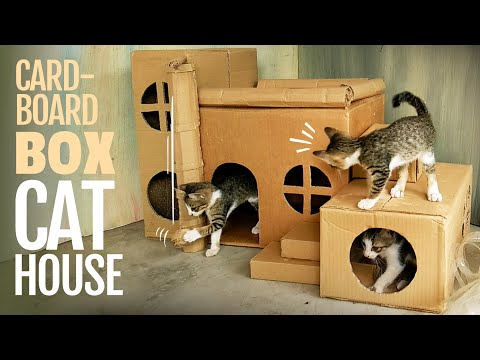 CAT HOUSE, DIY CARDBOARD BOX IDEAS