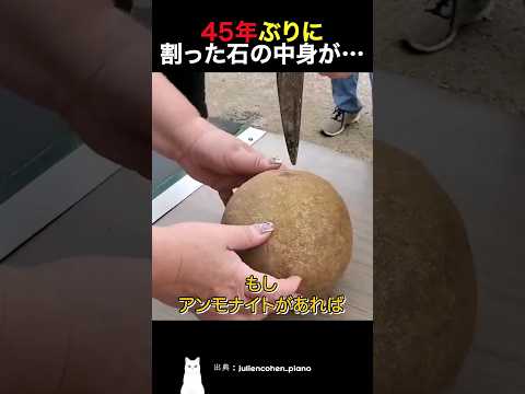 45年ぶりに割った石の中身が…