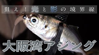 【アジング】狙いは光と影の境界線！アジが好むプランクトンパターン攻略/USHIO/石川仁希