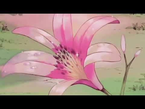 poquito - anitta ft. swae lee (slowed) in an empty arena