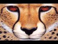 Moby - Honey (TYR Remix) 