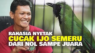 Download lagu RAHASIA SUKSES ,   NYETING CUCAK IJO SEMERU DARI NOL SAMPE JUARA mp3