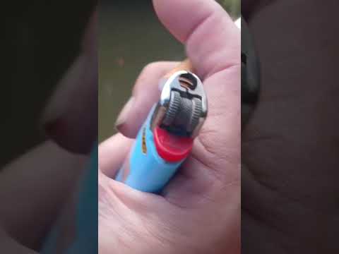 Día de Pesca #cordoba #miradacanina #vallehermoso