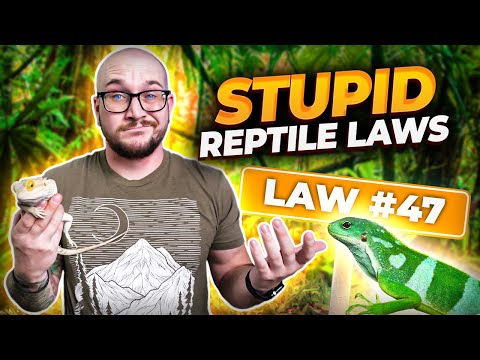 The 5 DUMBEST Reptile Laws and One That Just Changed The Hobby Forever!