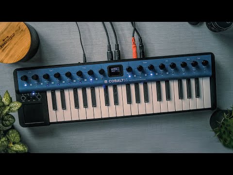 Modal Cobalt 5S 🎹 | A Budget Hardware Synth That Rocks