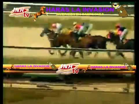 VALENCIA 4 CARRERA VIERNES 23 DE ENERO DEL 2015