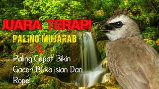 Download lagu TERAPI SUARA ISIAN DAN ROPELAN TRUCUKAN DI SERTAI AIR MENGALIR, DENGAN CEPAT MEMBANGKITKAN MENTAL. mp3