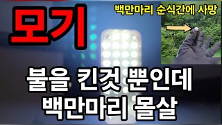 모기퇴치! 이렇게하면 순식간에 백만마리 몰살 시킵니다!  #모기퇴치 #모기약 #모기유충제로 #모기가싫어하는것…
