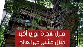 منزل شجرة الوزير اكبر منزل خشبي فى العالم منزل شجرة الوزير اكبر منزل خشبي فى العالم