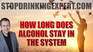 How long does alcohol stay in your system?