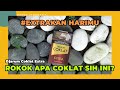 Review Rokok Djarum Coklat Extra
