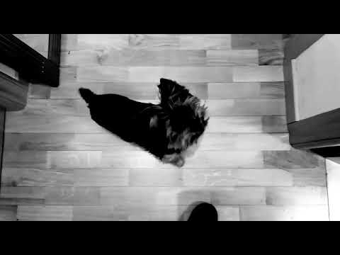 When you want something but your parents say no