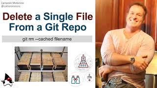 How to delete a file from a Git repo