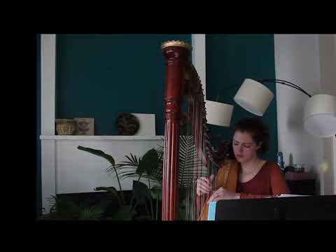 Promotional video thumbnail 2 for Hummingbird Harmonies