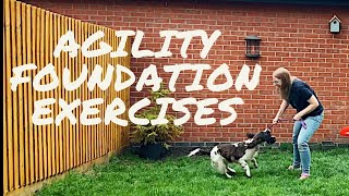 NO EQUIPMENT AGILITY FOUNDATION EXERCISES FOR DOGS AND PUPPIES | Start here before starting agility