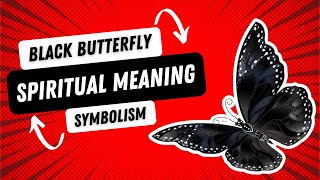 The Black Butterfly Meaning, Symbolism & Spiritual Significance #butterfly #butterflysymbolism