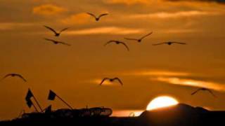 nikki - burt bacharach