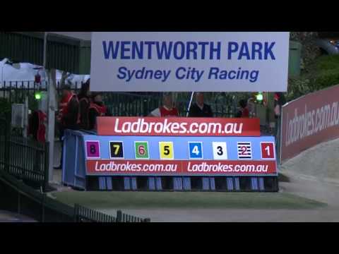 WENTWORTH PARK-09092017-RACE-8