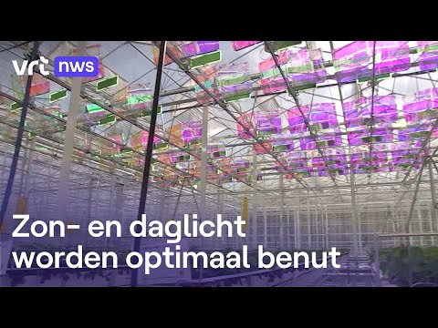 Serres van Proefcentrum Hoogstraten krijgen hoogtechnologische schermen