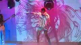 Of Montreal : Bunny Ain&#39;t No Kind Of Rider