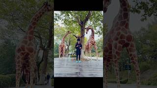 Download lagu We are back climbing Shoulder Ride Challenge this winter! #shoulderridechallenge   #climbinglovers mp3