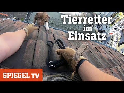 Tierretter im Einsatz | SPIEGEL TV