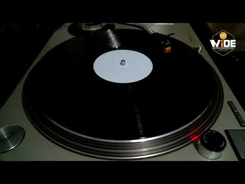 Dave Hollister "all i need" (Unreleased Feat Erick Sermon & Redman) 199X - RARE WHITE LABEL