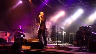 Perturbazione@carroponte-4/7/2013-musica x