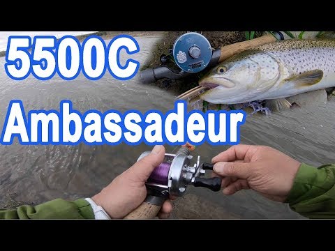 Ambassadeur 5500C Trout Fishing