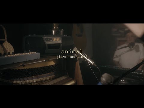 Gareth Dunlop - Animal [Live Session]