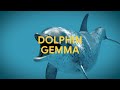 Google's DolphinGemma: AI Unlocks the Secrets of Dolphin Communication