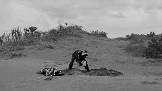 Body Bag Music Video