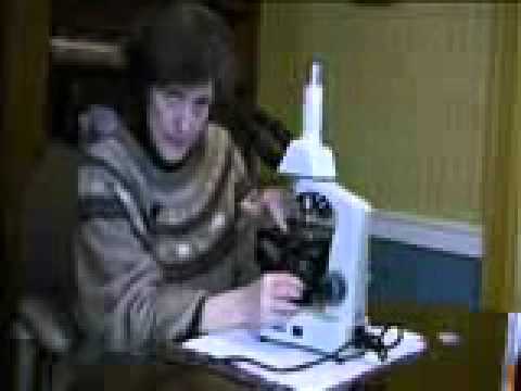 Choosing a Microscope small file - YouTube