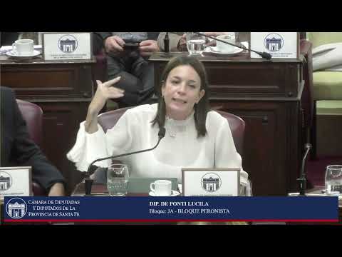 INTERVENCION DIPUTADA DE PONTI LUCILA - SESIÓN ORDINARIA Nº09 -PERIODO ORDINARIO 144º - 04/06/26