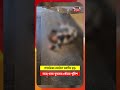 Home 8 Video thumbnail