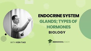 Glands & Types of Hormones