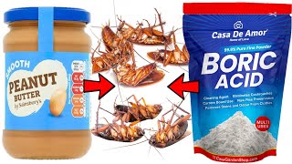 How to Kill Cockroaches with Peanut butter & Boric Acid