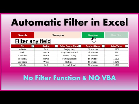Dynamic Filter in Excel Filter As You Type Excel VBA