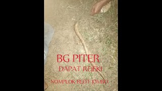 Download lagu #BG PITER DAPAT REJEKI NOMPLOK BELUT JOMBO mp3 Download lagu #BG PITER DAPAT REJEKI NOMPLOK BELUT JOMBO mp3