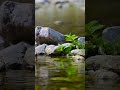 música de ambiente #trabalharemcasa #trabalho #relaxar