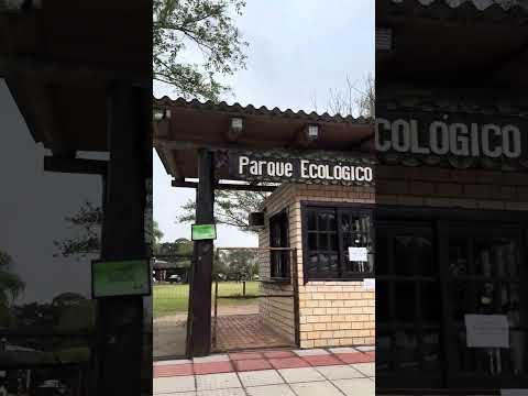 Parque Ecológico de Maracajá: onde a natureza é protagonista! #maracaja #santacatarina