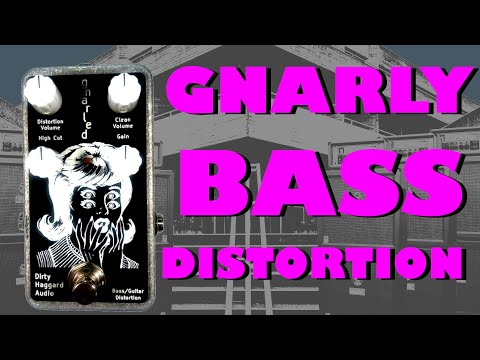 Dirty Haggard Audio Gnarled 2026 - Silver image 2