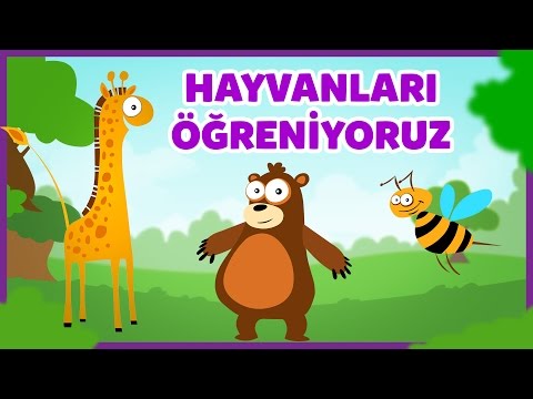 Hayvanları Tanıyalım - Hayvanlar ve Sesleri - Çocuklar İçin Eğitici Eğlenceli Türkçe Çizgi Film