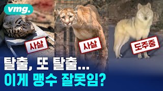 동물은 나가고 싶다.. 잇따른 탈출, 누구 잘못임? / 비디오머그