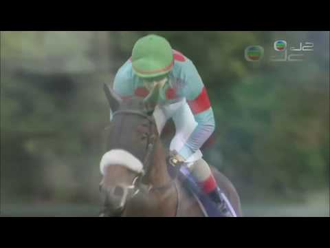 2018 Shuka Sho G1 - Almond Eye (杏目) - C.Lemaire