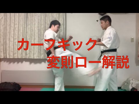 【カーフキック】その他変則ローの解説！！
