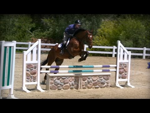 Perfect Your Horse's Rideablility - A Jumping Exercise