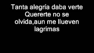 Anahi-Te Puedo Escuchar (with lyrics).flv